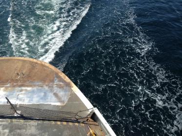 现金斗地主平台全方位对比分析与使用风险提示