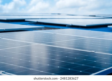 瑞博国际网址最新变动情况及访问稳定性评估